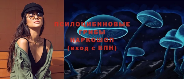 ГАЛЛЮЦИНОГЕННЫЕ ГРИБЫ Костерёво