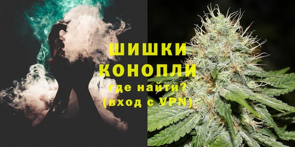 ГАЛЛЮЦИНОГЕННЫЕ ГРИБЫ Костерёво