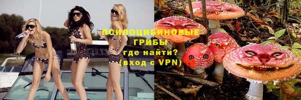 ГАЛЛЮЦИНОГЕННЫЕ ГРИБЫ Костерёво