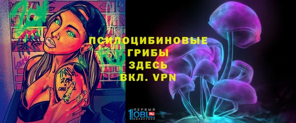 ГАЛЛЮЦИНОГЕННЫЕ ГРИБЫ Костерёво