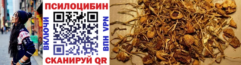 Галлюциногенные грибы GOLDEN TEACHER  Купить где  Серафимович 